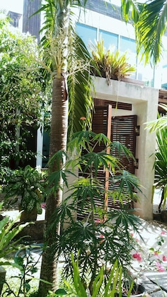 Gallery - Sairee Hut Resort Koh Tao