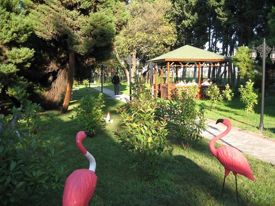 Gallery - Sekapark Hotel