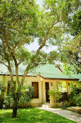 Gallery - The Green Beach Resort