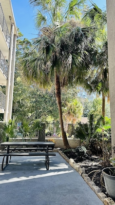 Gallery - Loyalty Inn Tallahassee