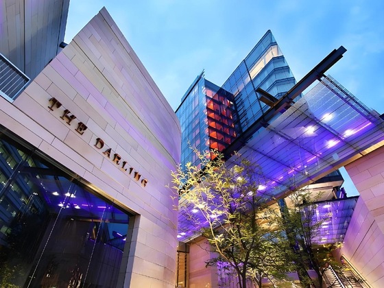 Gallery - The Darling At The Star