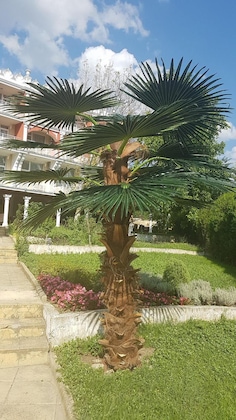 Gallery - Elit Hotel Balchik