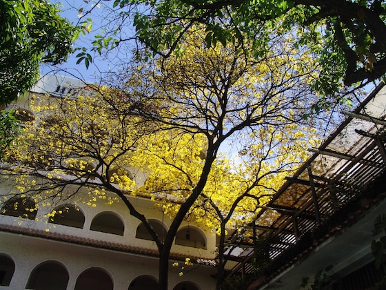 Gallery - Hotel Chicala
