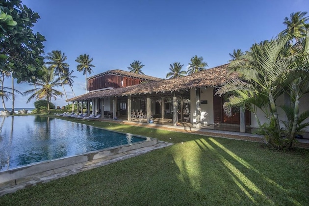 Gallery - The Frangipani Tree By Edwards Collection