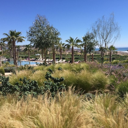 Gallery - Hyatt Place Taghazout Bay