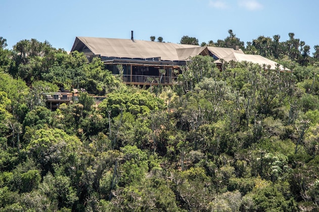 Gallery - Kariega Game Reserve-Settlers Drift