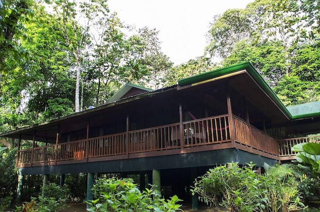Gallery - Selva Verde Lodge