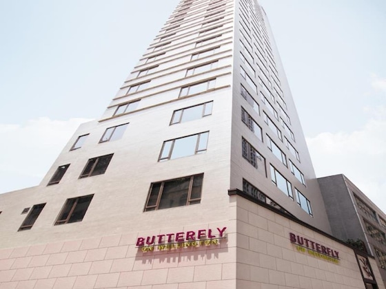 Gallery - Butterfly On Wellington