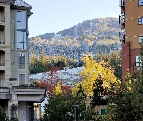 Gallery - Mountain Side Hotel Whistler By Executive