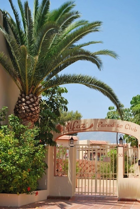 Gallery - Alfaz' Paradise Club