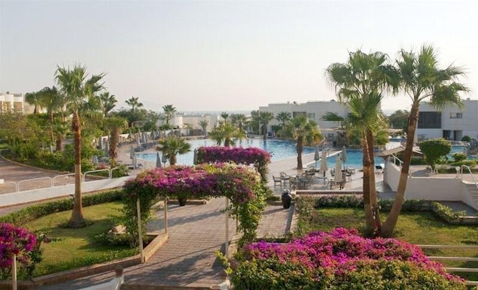 Gallery - Sharm Reef