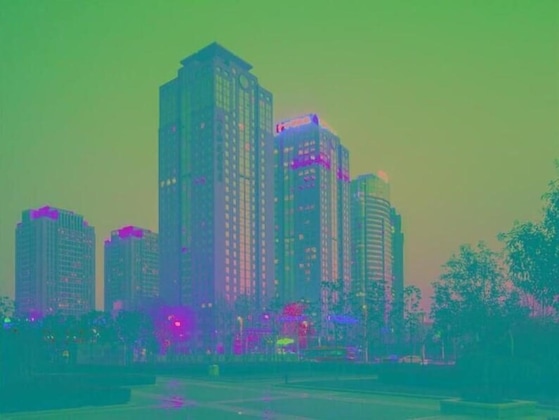 Gallery - Zhongyou Garden Hotel - Zhengzhou