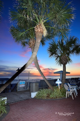 Gallery - Palmetto Beachfront Hotel, A By The Sea Resort