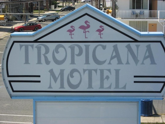 Gallery - Tropicana Motel