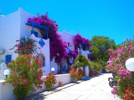 Gallery - Pelagos Studios
