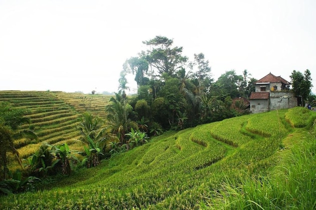 Gallery - Yeh Panes Bali