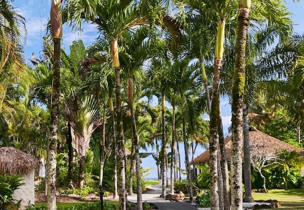 Gallery - Motu Beachfront Art Villas
