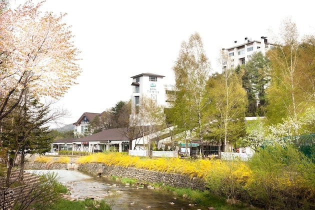 Gallery - Mona Yongpyong Tower Condominium