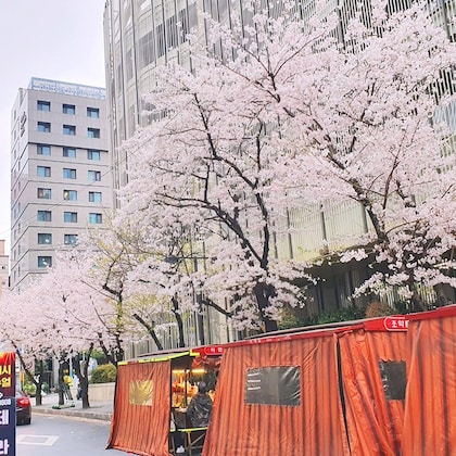 Gallery - Busan Business Hotel