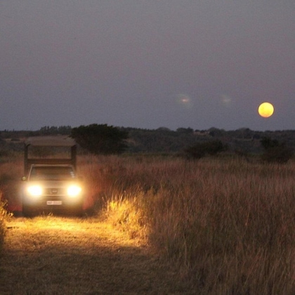 Gallery - Bonamanzi Game Reserve