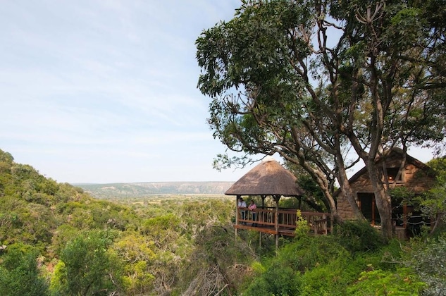Gallery - Woodbury Lodge - Amakhala Game Reserve
