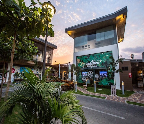 Gallery - Macaws Ocean Club