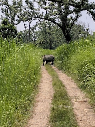 Gallery - Wildlife Adventure Resort