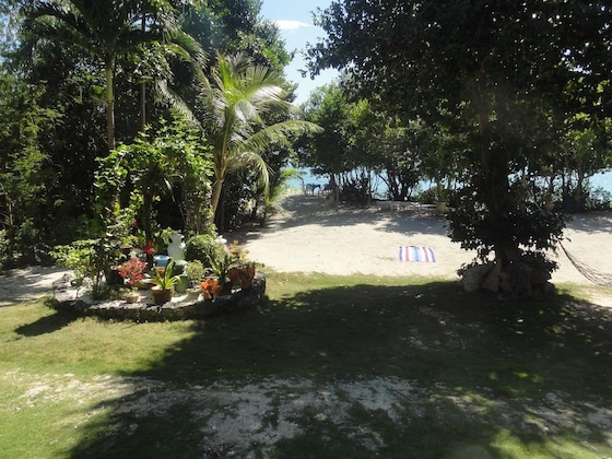 Gallery - Sea Turtle House