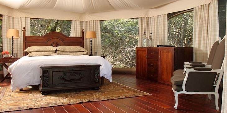 Gallery - Thanda Safari
