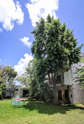 Gallery - Corazon De Jade Tulum Downtown