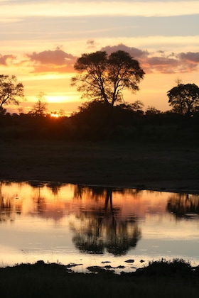 Gallery - Rhino Walking Safaris