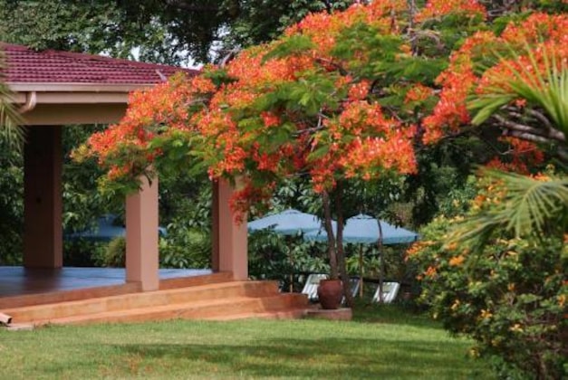 Gallery - Abangane Guest Lodge