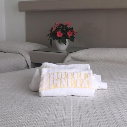 Gallery - Hotel Pineta