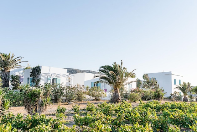 Gallery - Kostantakis Winery & Residence
