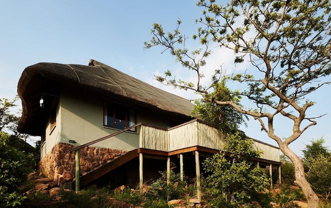 Gallery - Mhondoro Safari Lodge & Villa