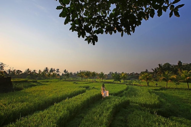 Gallery - Wapa Di Ume Ubud