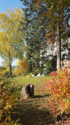 Gallery - Vitalhotel König Am Park