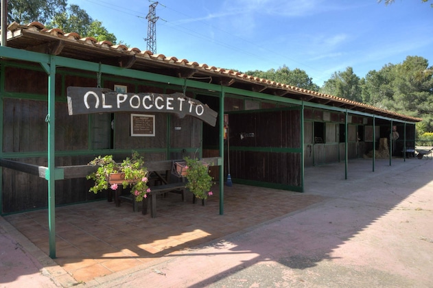 Gallery - Agriturismo Al Poggetto