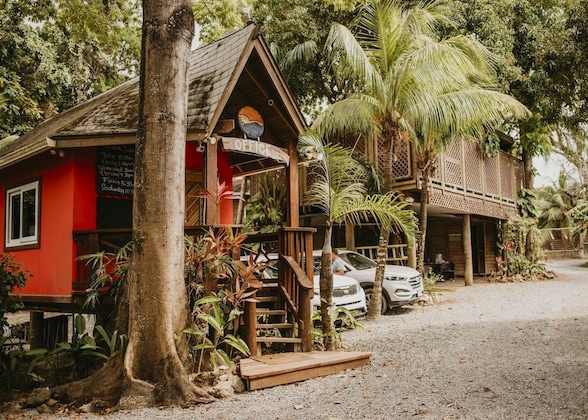 Gallery - Tranquilseas Eco Lodge & Dive Center