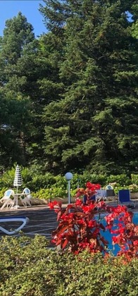 Gallery - Mondial Park Hotel