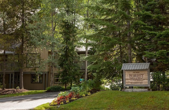 Gallery - Forest Trails By Whistler Premier