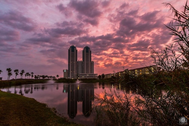 Gallery - My Sapphire South Padre Island
