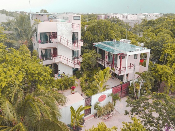 Gallery - Los Amigos Tulum