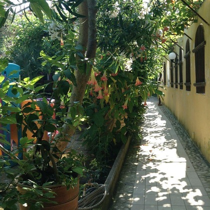 Gallery - Albergo Residence Villa a Mare
