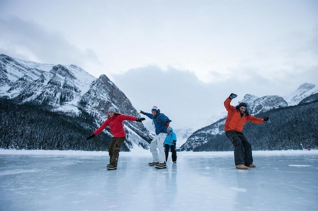 Gallery - Bookcanmore