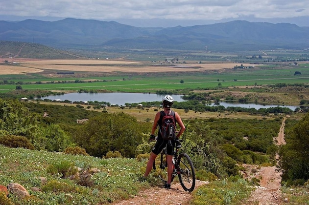 Gallery - Africamps Klein Karoo