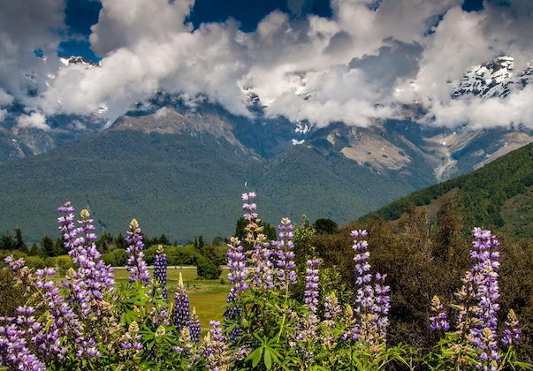 Gallery - Glenorchy Peaks B&B