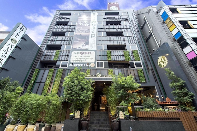 Gallery - Pasela No Mori Yokohama Kannai
