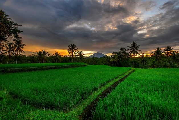 Gallery - Kawi Resort A Spiritual Sanctuary To Escape