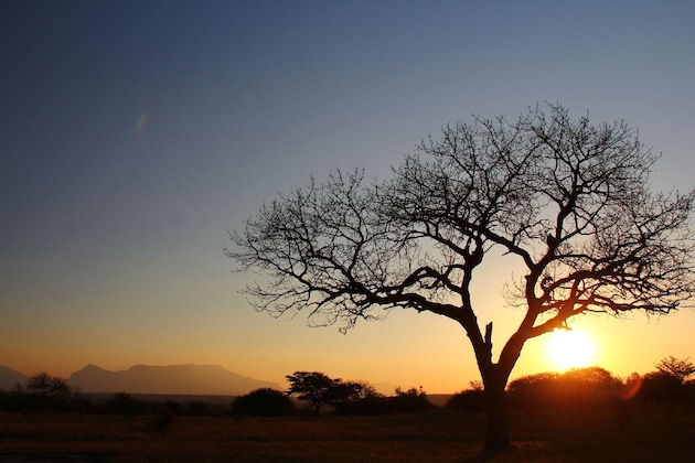 Gallery - Thornhill Safari Lodge
